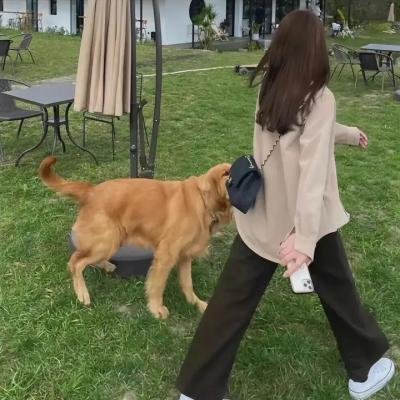 危机边缘第三季